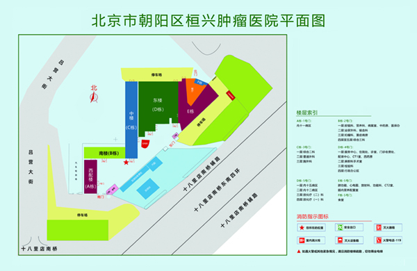 JJ插入BB时最美动态图北京市朝阳区桓兴肿瘤医院平面图